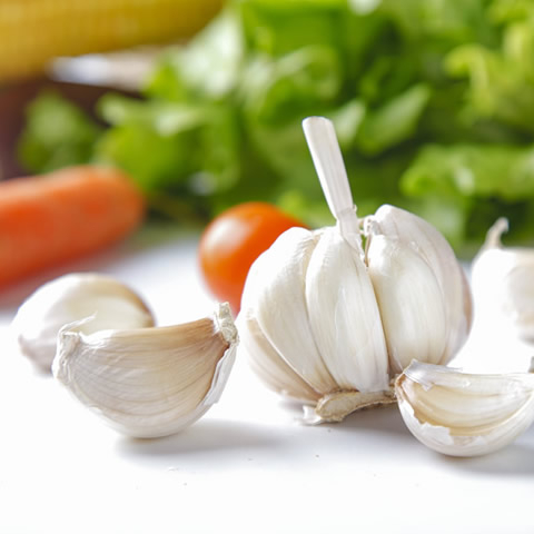 大蒜（garlic )