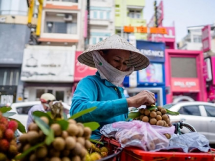 Vietnam aims at the Chinese market and makes new policies to catch up with Thailand